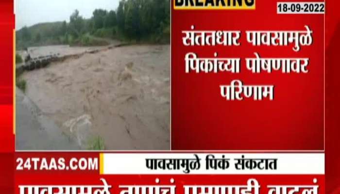 Due to heavy rains in the state, there is a huge loss of crops, farmers are worried
