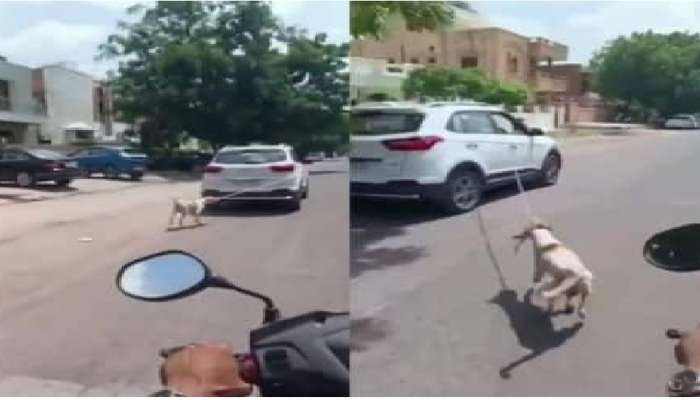  Video : क्रूरतेचा कळस!! डॉक्टरने निष्पाप कुत्र्याला गाडीला बांधून नेले फरफटत
