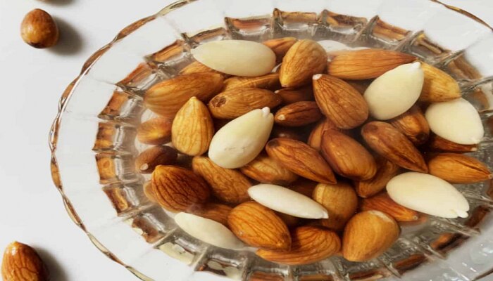 बदाम सालीसकट खाणे योग्य की अयोग्य, काय आहे Almond खाण्याची पद्धत  