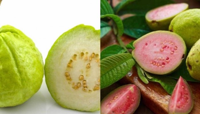 Which is Better Pink or White Guava: गुलाबी की पांढरा पेरू? आरोग्यासाठी फायद्याचं काय, एकदा पाहाच 