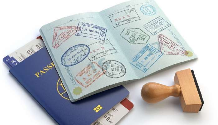 VISA म्हणजे काय आणि किती प्रकारचा असतो? अर्ज कसा करावा, जाणून घ्या