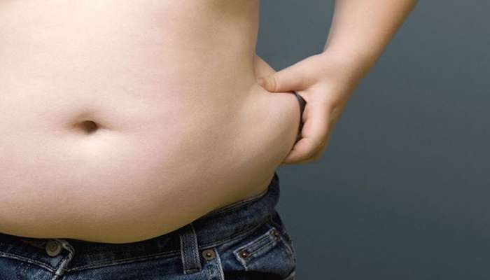 Belly Fat: एक महिन्यात पोटाचा घेर होईल कमी, रोज करा हे काम