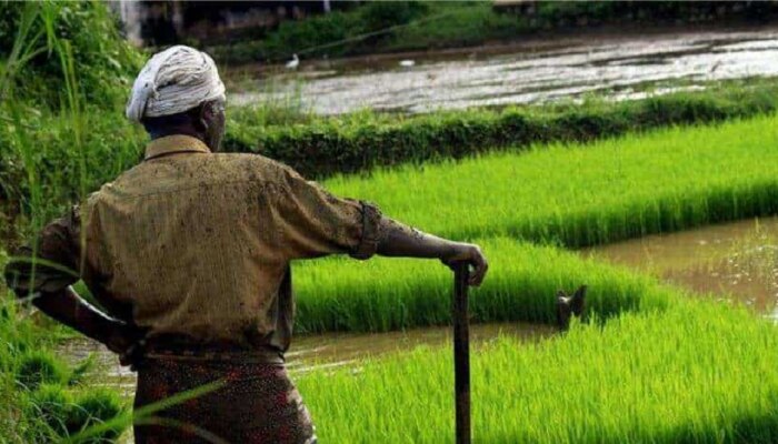 Crop : शेतकऱ्यांसाठी महत्त्वाची बातमी, &#039;हे&#039; मॉडेल वाचवणार तुमचं पीक 