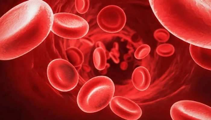 Low Hemoglobin: झपाट्याने रक्तातील हिमोग्लोबिन वाढवतात या गोष्टी