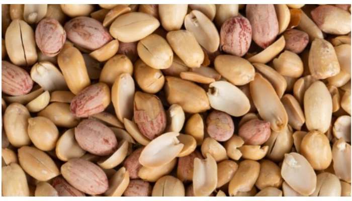 Peanut For Health: शेंगदाणे खाल्ल्याने शरीरावर काय परिणाम होतो? जाणून घ्या 