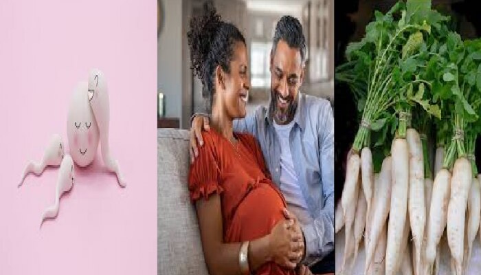 Fertility Boosting: मुळा आणि फर्टिलिटीचा काय संबंध? जाणून एका क्लिकवर