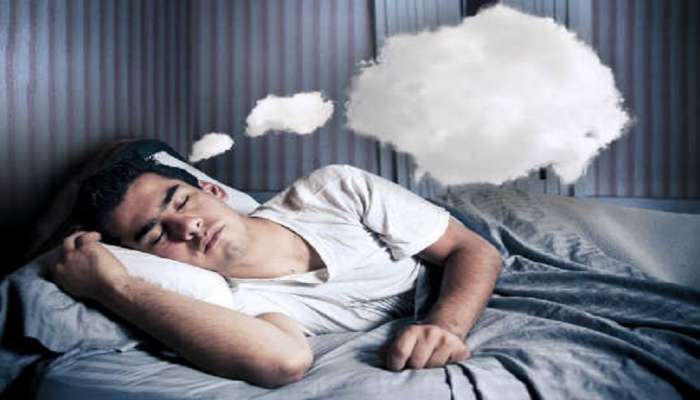  Dream Astrology:स्वप्नात 'हे' पाच प्राणी दिसण्याचा अर्थ काय, जाणून घ्या