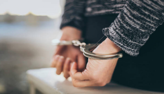 'हृद्ययी वसंत फुलताना' फेम अभिनेत्री इराणमध्ये पोलिसांच्या ताब्यात; पुढे जे झालं...