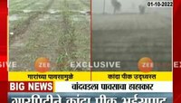VIDEO | वादळी वाऱ्यासह गारांच्या पावसामुळे पिकांचं नुकसान