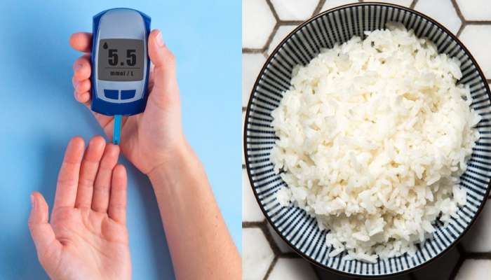 Rice For Diabetes: पांढरा नाही, ब्राऊन नाही तर डायबिटीज रुग्णांसाठी या रंगाच्या तांदळाचा भात खूप फायदेशीर