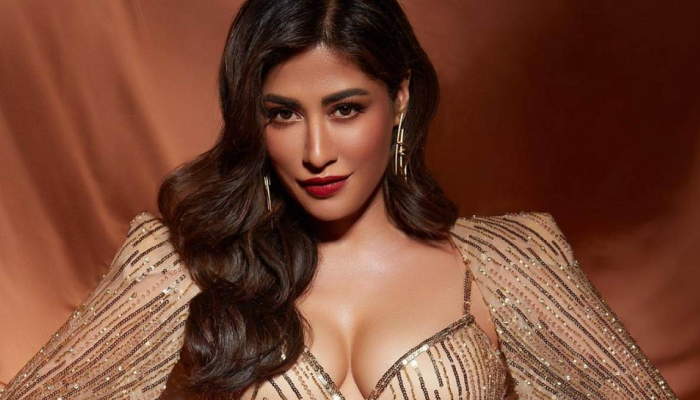 Chitrangda Singh चे किलर फोटोशूट, सौंदर्य पाहून चाहत्याने केले प्रपोज
