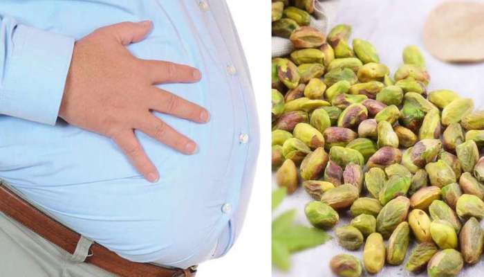 Weight Loss Tips: हे ड्रायफ्रूट खाल्ल्याने पोटाची चरबी मेणासारखी वितळते, स्मरणशक्तीही वाढते Weight Loss Tips: हे ड्रायफ्रूट खाल्ल्याने पोटाची चरबी मेणासारखी वितळते, स्मरणशक्तीही वाढते