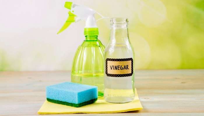 Vinegar Hacks : केवळ स्वयंपाक नव्हे तर ‘यासाठी&#039; वापरता येते व्हिनेगर, जाणून घ्या सविस्तर