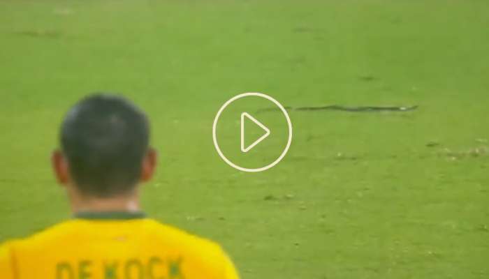 IND Vs SA T20: दक्षिण आफ्रिकेविरुद्धच्या सामन्यादरम्यान मैदानात घुसला साप, पळापळ झाल्याचा Video Viral