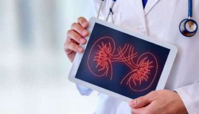 Health Tips: &#039;या&#039; सवयींमुळे Kidney चं  होतं नुकसान! अशा चुका करू नका