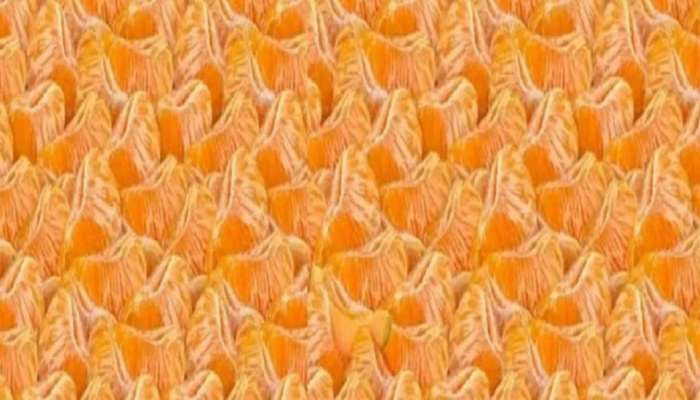Optical Illusion: संत्र्याच्या गर्दीमध्ये लपलीय टरबूजची फोड, फक्त 10 सेकंदात शोधून दाखवा