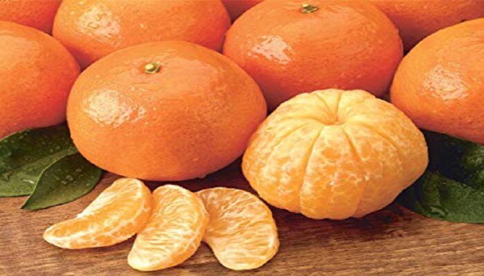 Trending Video : गरोदर संत्र कधी पाहिलं आहे का?