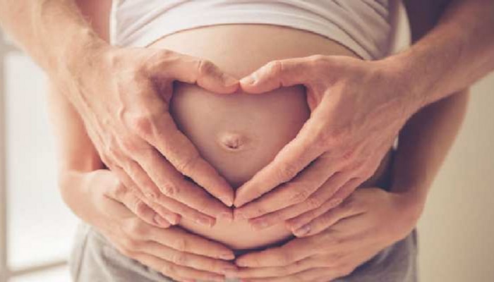 How To Get Pregnant Fast: प्रेग्नेंसीचा प्लान करताय तर या गोष्टीची घ्यावी काळजी