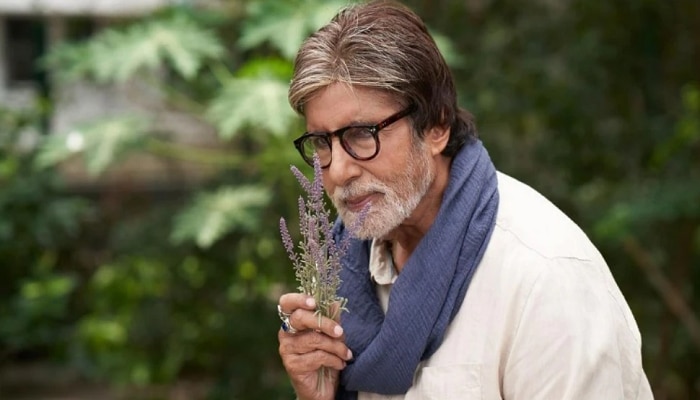 Big B 80th Birthday : Amitabh Bachchan यांच्याकडून चाहत्यांना अविस्मरणीय Gift, Video Viral 