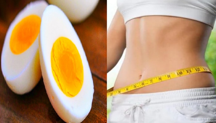 Weight Loss: वजन कमी करण्यासाठी रामबाण उपाय, चवीनं अंडी खा, सडपातळ व्हा!