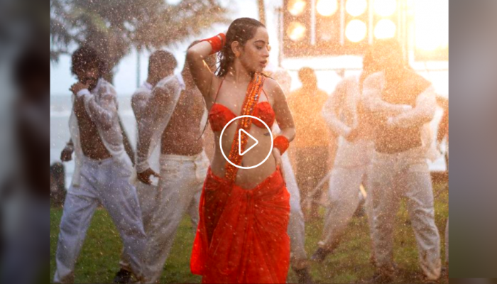 Urfi Javed चा Bold Rain Dance, सोशल मीडियावर लावली आग!
