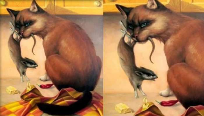 Optical Illusion: मांजर आणि उंदराच्यामध्ये लपलेली स्त्री शोधून दाखवा, तुमच्याकडे 9 सेकंदाची वेळ 