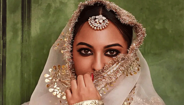 Sonakshi Sinha ला भेटला 'चुलबूल पांडे'?, खास व्यक्तीसोबत अभिनेत्रीचा Video Viral 