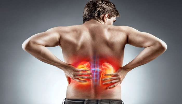 Kidney Diseases:किडनी खराब होण्याचे &#039;हे&#039; संकेत असतात, जाणून घ्या