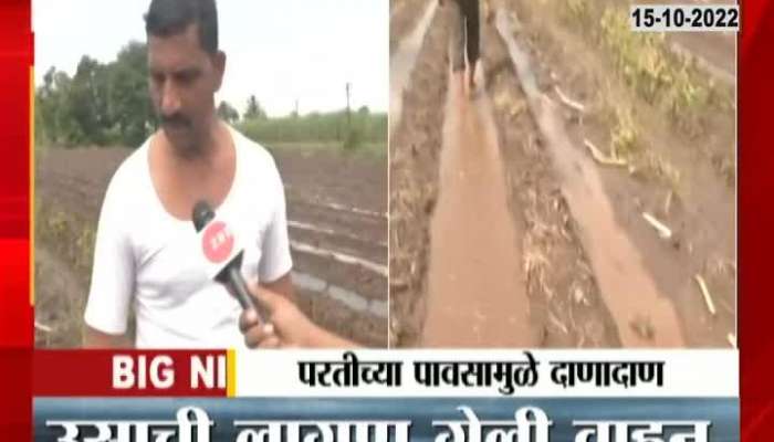 Economic loss of sugarcane farming due to return rains in Kolhapur