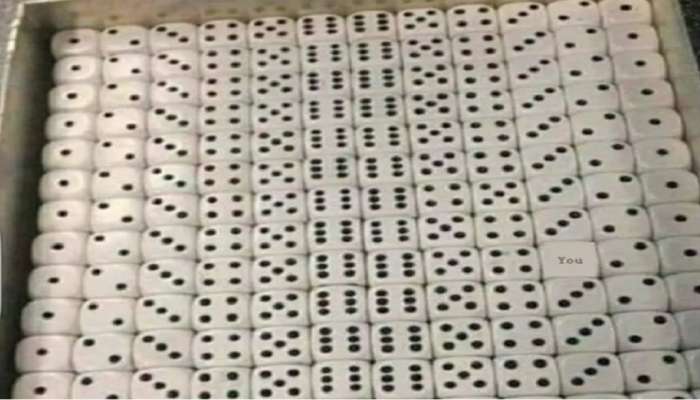 Optical Illusion: फोटोत लपलेला चुकीचा फासा ओळखून दाखवा, तुमच्याकडे 30 सेकंदाची वेळ 