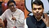 Raj Thackeray: ठाकरेंच्या 'राज' पत्रावर फडणवीसांची पहिली प्रतिक्रिया, भाजप उमेदवार मागे घेणार ?