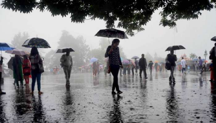 Maharashtra Rain Update: राज्यात परतीच्या पावसाचा धुमाकूळ; &#039;या&#039; जिल्ह्यात दोन दिवसांसाठी Yellow Alert