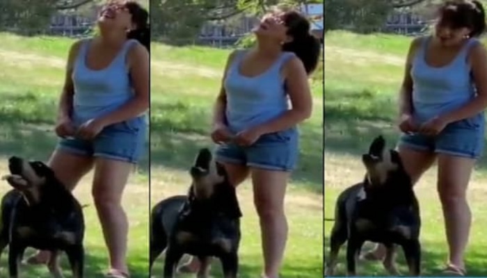 Viral Video: हॅलो म्हणणारा Dog चा सोशल मीडियावर धुमाकूळ 
