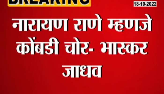 Bhaskar Jadhav's venomous criticism of Rane, see criticism made in rude language