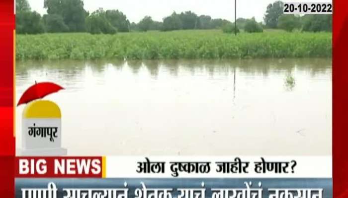 Cotton fields were flooded with knee-deep water due to torrential rains