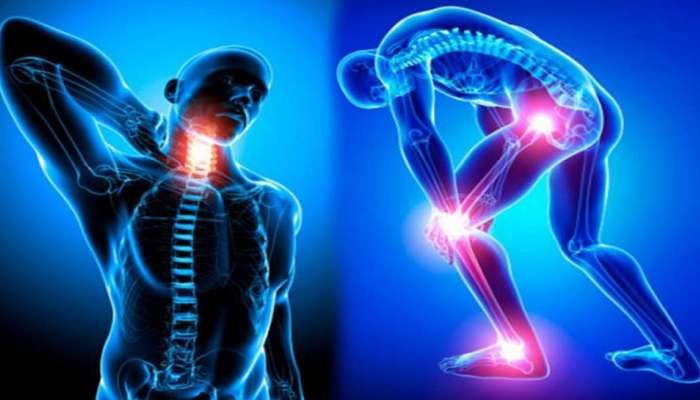 World Osteoporosis Day 2022: वाढत्या वयानुसार हाडे कमकुवत झाली? मग ही बातमी तुमच्यासाठीच!