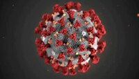 Corona Virus: जगभरात पुन्हा पसरतोय कोरोना; BA.5 व्हेरिएंटच्या प्रकरणं अधिक