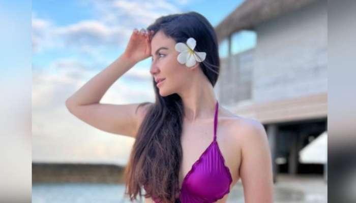  टाईट ड्रेसमध्ये Giorgia Andriani चं बोल्ड फोटोशूट, Photo पाहून चाहते थक्क 