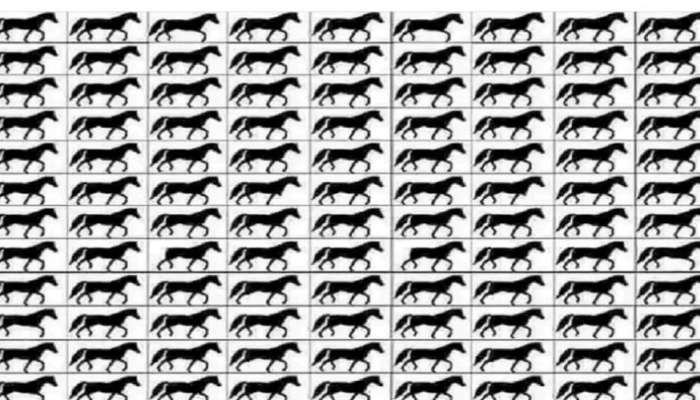 Optical Illusion: या फोटोत किती तीन पायांचे घोडे आहेत? तुमच्याकडे 20 सेकंदाची वेळ 
