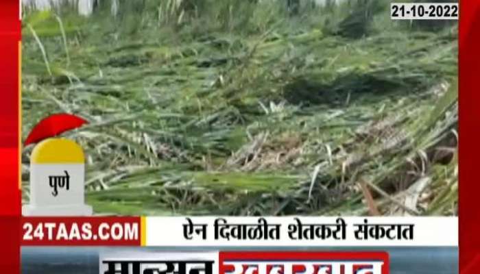 Farmers in distress on Diwali, huge loss of sugarcane