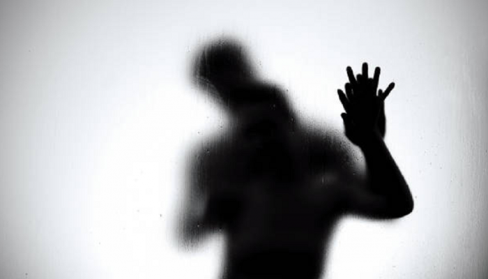 Playboy मासिकासाठी विवस्त्र फोटोशूट करणाऱ्या अभिनेत्रीच्या आईनंच लीक केला लेकिचा 'Private Video'