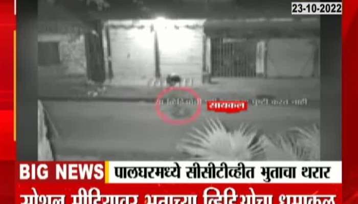  Palghar CCTV Ghost VIDEO 
