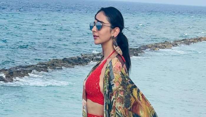 richa chaddha नंतर आता 'ही' अभिनेत्री करतेय लग्नाची तयारी? फोटो ठरतोय चर्चेचा विषय 