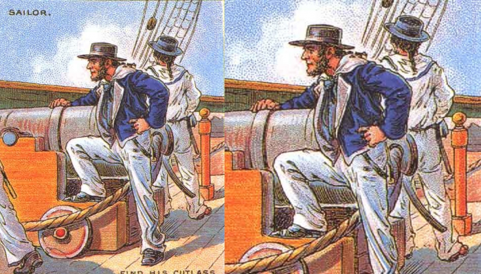 Optical Illusion: स्वतःची परीक्षा घ्यायची असेल, तर शोधा फोटोतील तलवार