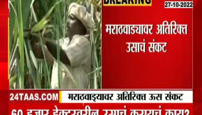 Additional sugarcane crisis in Marathwada, what to do with sugarcane on 60 thousand hectares?