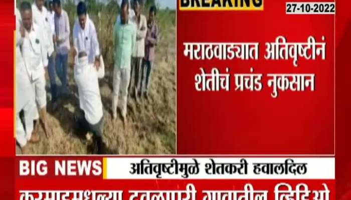 Farmers in Marathwada suffer huge loss of agriculture due to heavy rains