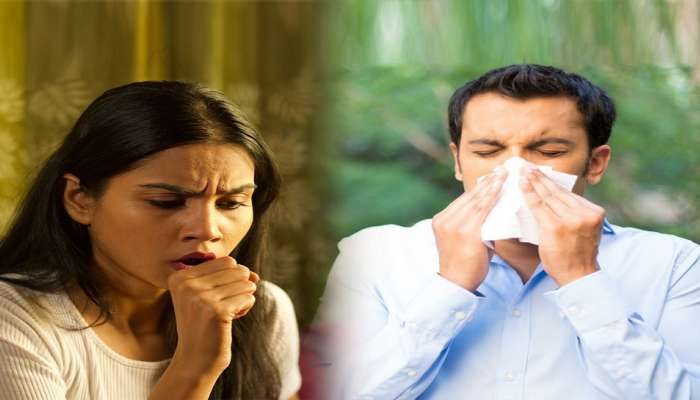 खोकल्याने हैराण आहात का? मग 'या' गोष्टी चुकूनही खाऊ नका
