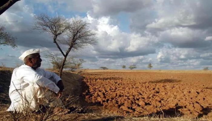 धाराशिव जिल्ह्यातील शेतकऱ्यांना २०० कोटींची पीक विमा भरपाई