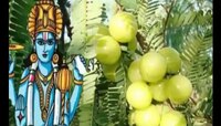 आज अक्षय नवमीला करा 'हे' उपाय, घरात सदैव राहिल लक्ष्मीचा वास