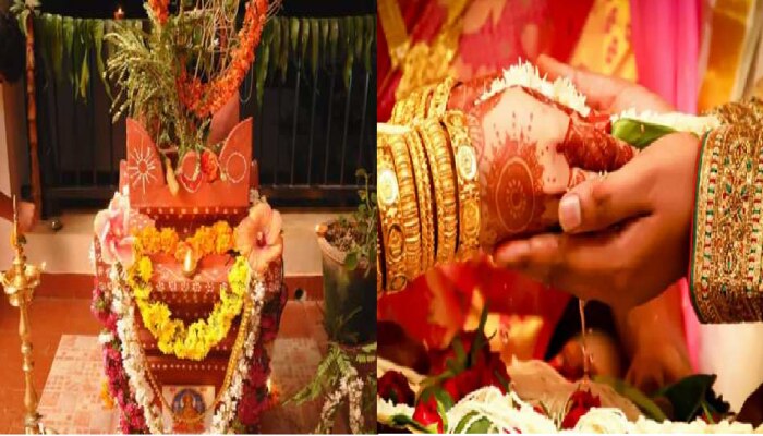 Tulasi Vivah 2022: तुळशीच्या लग्नानंतर शुभकार्य करताय? जाणून घ्या मुहूर्त, पूजा विधी आणि सर्वकाही 